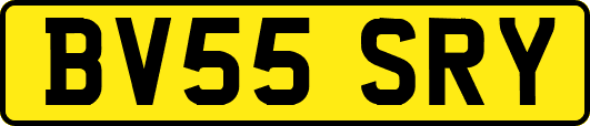 BV55SRY