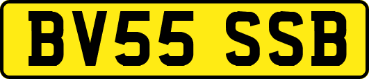 BV55SSB