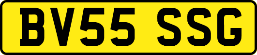 BV55SSG