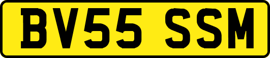BV55SSM