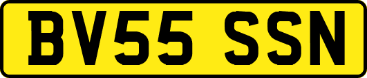 BV55SSN