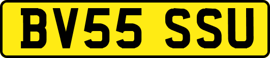 BV55SSU