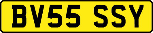 BV55SSY