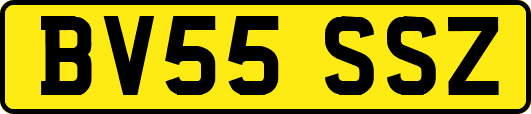BV55SSZ
