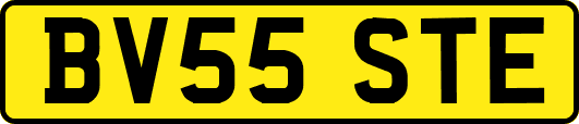 BV55STE