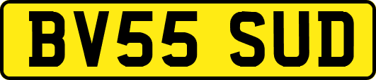 BV55SUD
