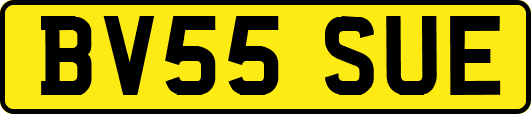 BV55SUE