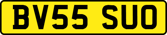 BV55SUO