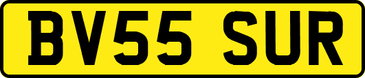 BV55SUR