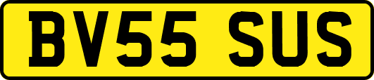 BV55SUS