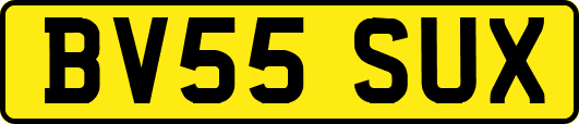 BV55SUX