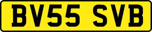 BV55SVB
