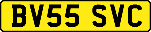 BV55SVC