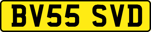 BV55SVD