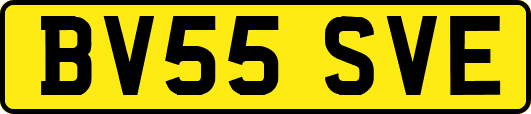 BV55SVE