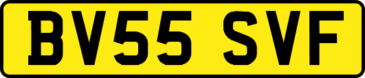 BV55SVF