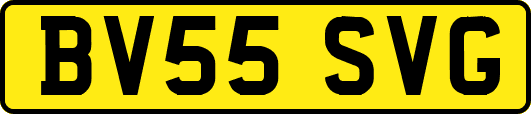 BV55SVG