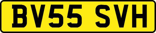 BV55SVH