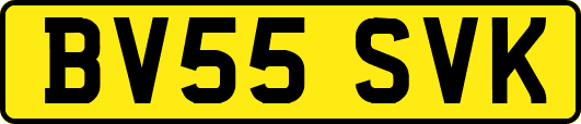 BV55SVK