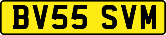 BV55SVM