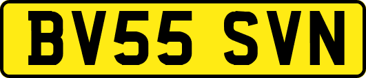 BV55SVN