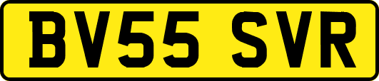 BV55SVR