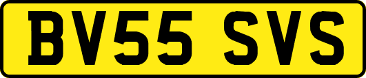 BV55SVS