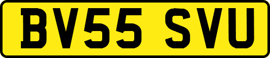 BV55SVU
