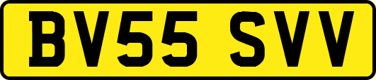 BV55SVV