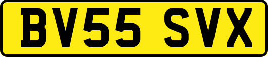 BV55SVX