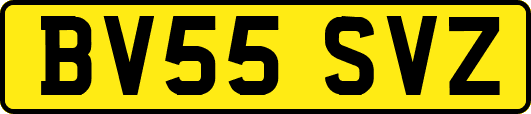 BV55SVZ