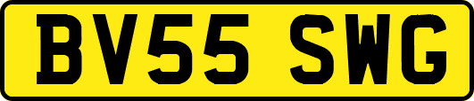 BV55SWG