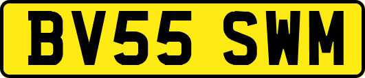 BV55SWM