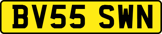 BV55SWN