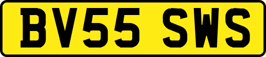 BV55SWS