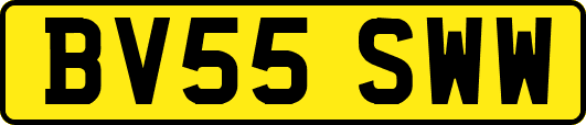 BV55SWW