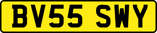 BV55SWY