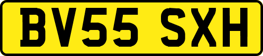 BV55SXH