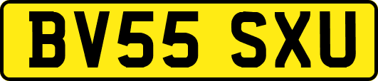 BV55SXU