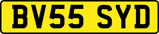 BV55SYD
