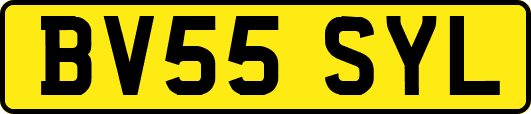 BV55SYL