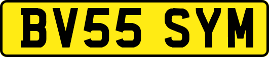 BV55SYM