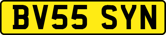 BV55SYN