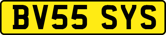 BV55SYS