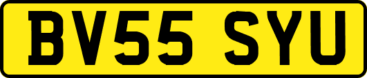 BV55SYU