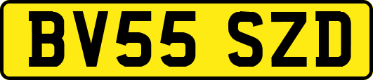 BV55SZD