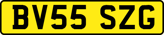 BV55SZG