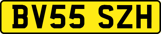BV55SZH