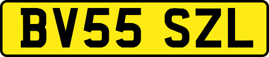 BV55SZL