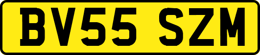 BV55SZM